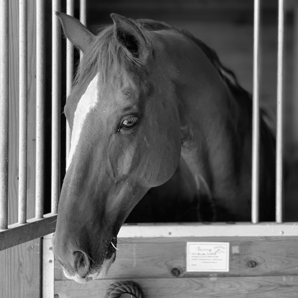 Meet your Posher, Em - Picture 1 of 1